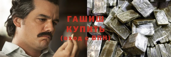 хмурый Белая Холуница