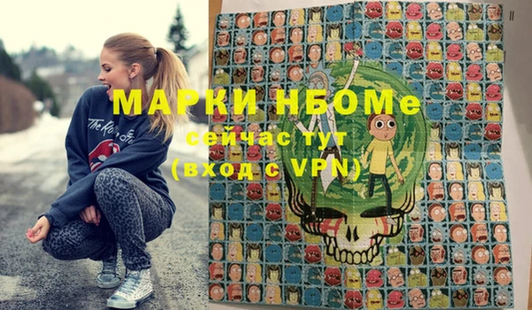 Альфа ПВП Верея