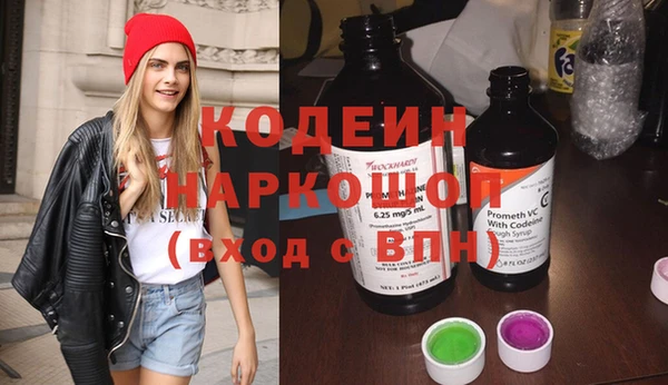 Альфа ПВП Верея