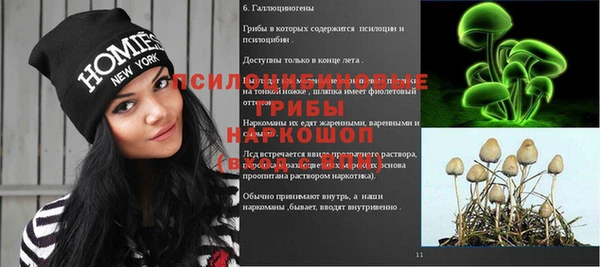 Альфа ПВП Верея