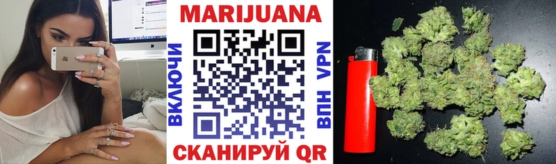 Конопля планчик Высоцк