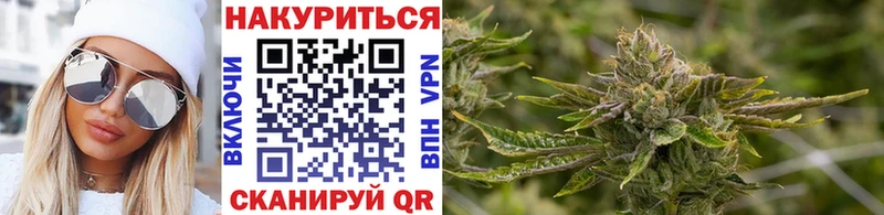 Каннабис конопля  где продают наркотики  blacksprut   Высоцк 